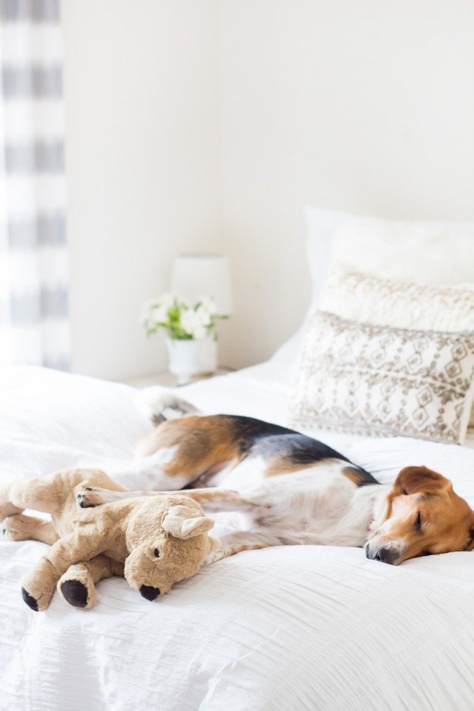 white_bedroom_1