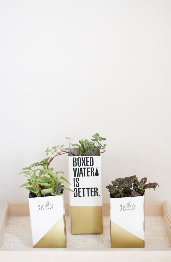 Wasteless Crafts on Tumblr