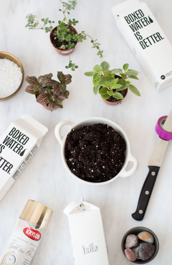 boxed-water-is-better-2