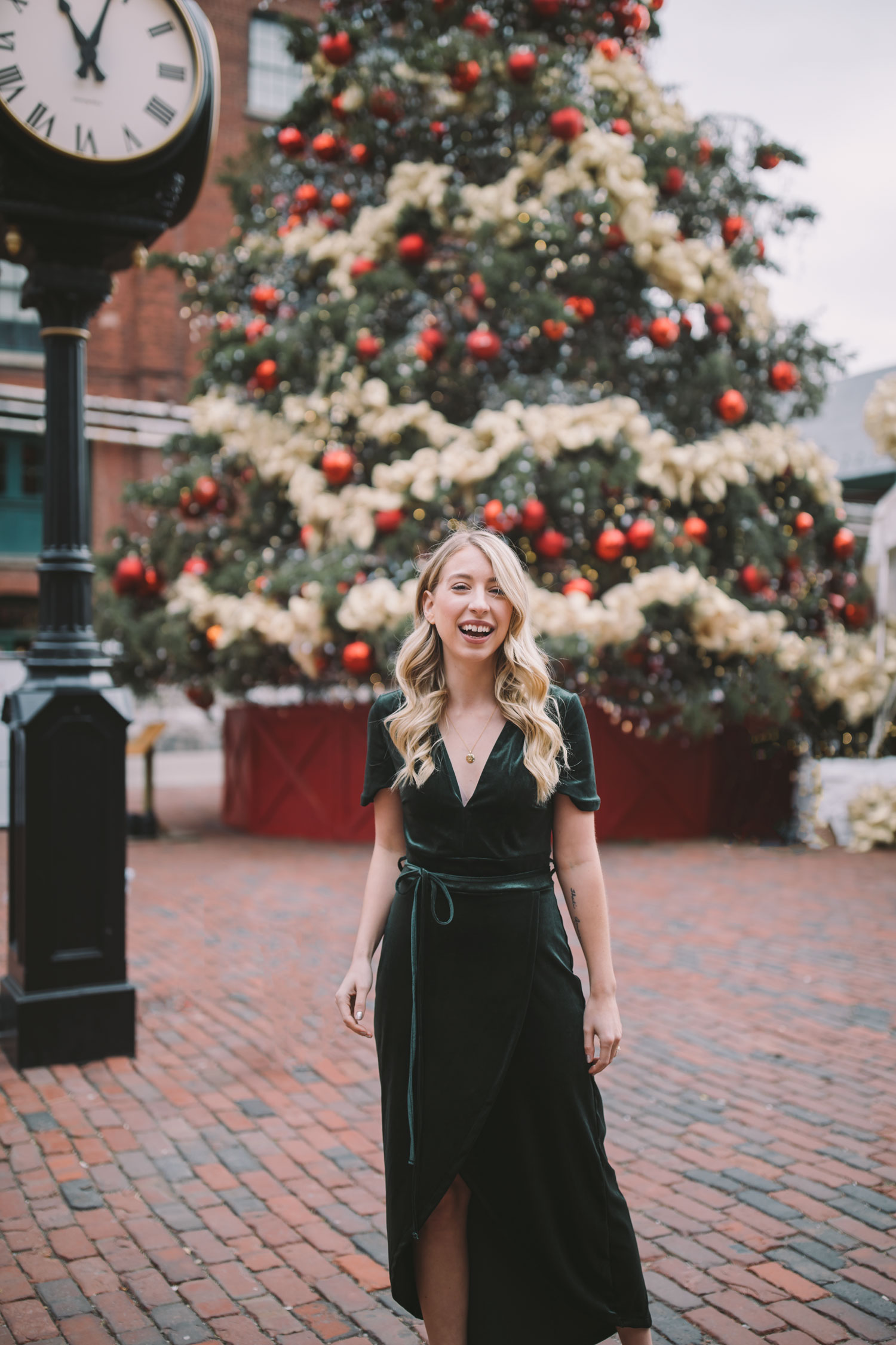 dynamite velvet dress